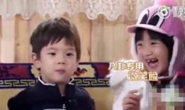 娱乐八卦是吃瓜,揭秘“吃瓜群众”背后的娱乐八卦世界