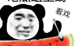 娱乐黑料吃瓜,明星背后的惊人黑料大曝光