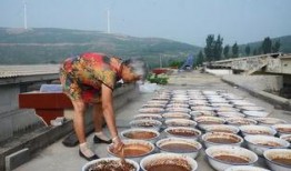 娱乐吃瓜酱农村,揭秘农村生活的趣味瞬间