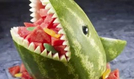 攀枝花动物园娱乐吃瓜酱,娱乐吃瓜酱带你探秘动物乐园