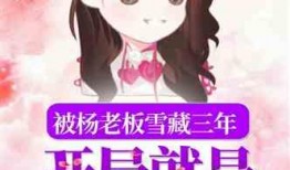 娱乐吃瓜酱吃饭小说在线阅读,饭圈风云下的小说世界