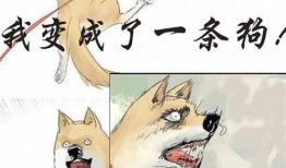 娱乐圈吃瓜小狗小说在线阅读,吃瓜小狗的甜蜜复仇之旅