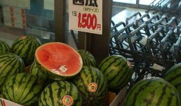 泰国娱乐吃瓜,揭秘明星们的甜蜜与苦涩