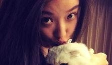 娱乐吃瓜酱虐猫,真相与反思