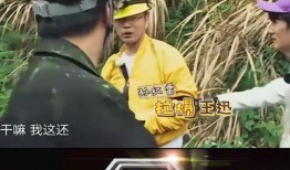 哈哈娱乐吃瓜,吃瓜群众眼中的明星幕后故事