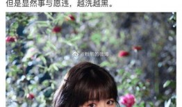 娱乐圈吃瓜贴吧,幕后真相与明星隐私曝光