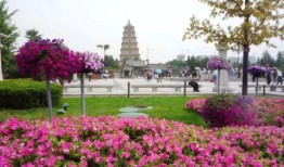 西安追星吃瓜娱乐公司,吃瓜娱乐公司引领潮流解析