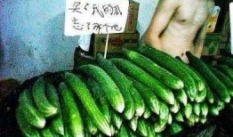 湖南娱乐吃瓜在一线,揭秘娱乐圈背后的故事