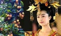 吃瓜娱乐圈贵妃百度云,娱乐圈幕后秘闻大揭秘