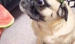 娱乐圈子里的吃瓜群众,揭秘明星幕后故事