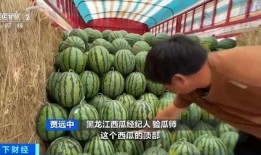 娱乐圈吃瓜直播间甘蓝