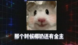 娱乐圈吃瓜月亮代表什么,月亮代表谁的心意？揭秘明星间的情感纠葛