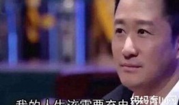 娱乐圈吃瓜吴京是谁啊图片,娱乐圈吃瓜达人，揭秘幕后风云