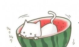 吃瓜娱乐酱头像图片,娱乐酱头像下的欢乐时光