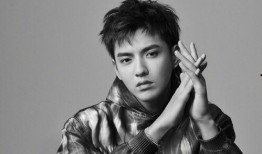 吃瓜娱乐圈男明星图片,娱乐圈男明星的时尚风采大揭秘