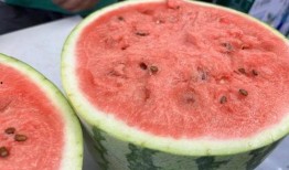 娱乐市场有瓜吃吗,揭秘那些你不知道的幕后故事