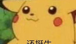 皮卡丘娱乐圈吃瓜,吃瓜群众眼中的萌宠明星